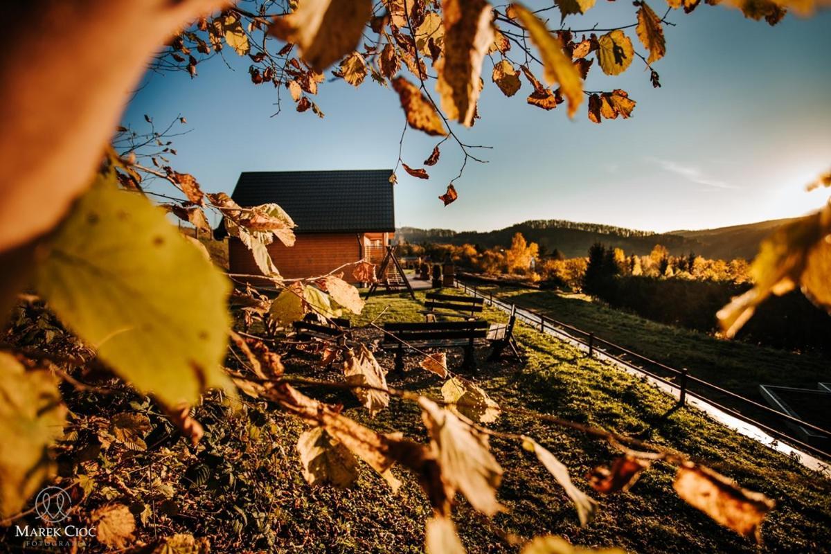Chaty Na Cholewicy Domki Caloroczne Solina  Esterno foto