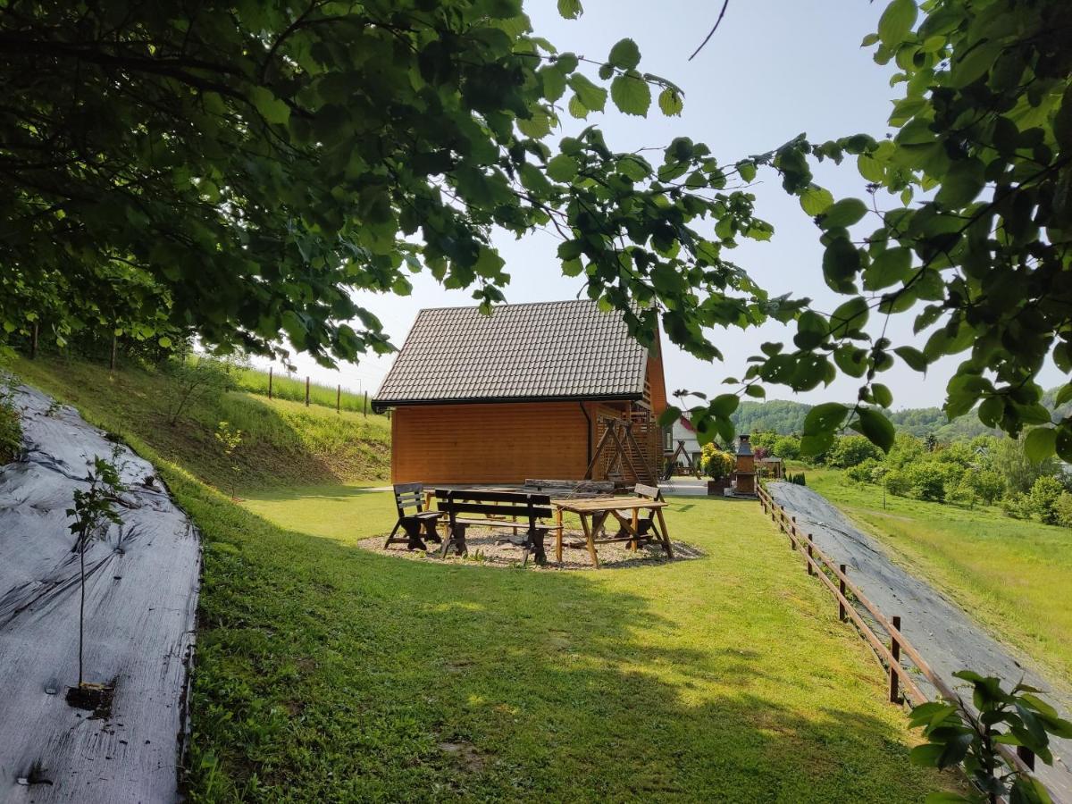 Chaty Na Cholewicy Domki Caloroczne Solina  Esterno foto